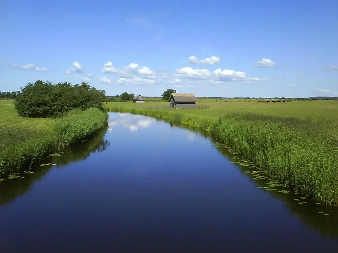Matsalu