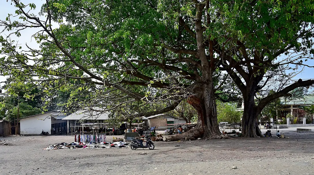 Market place, Maubara, 2018 (02)