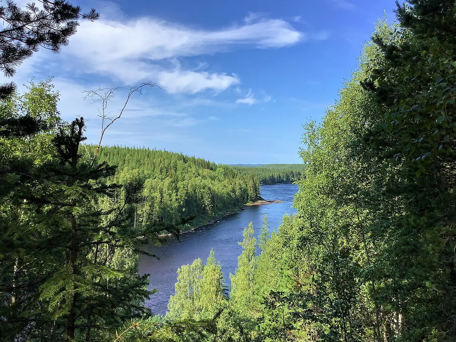 Mellanljusnan nature reserve 01