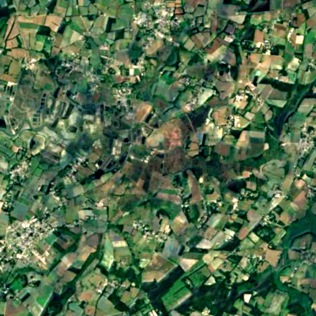Mès marsh seen from above (Sentinel-2)