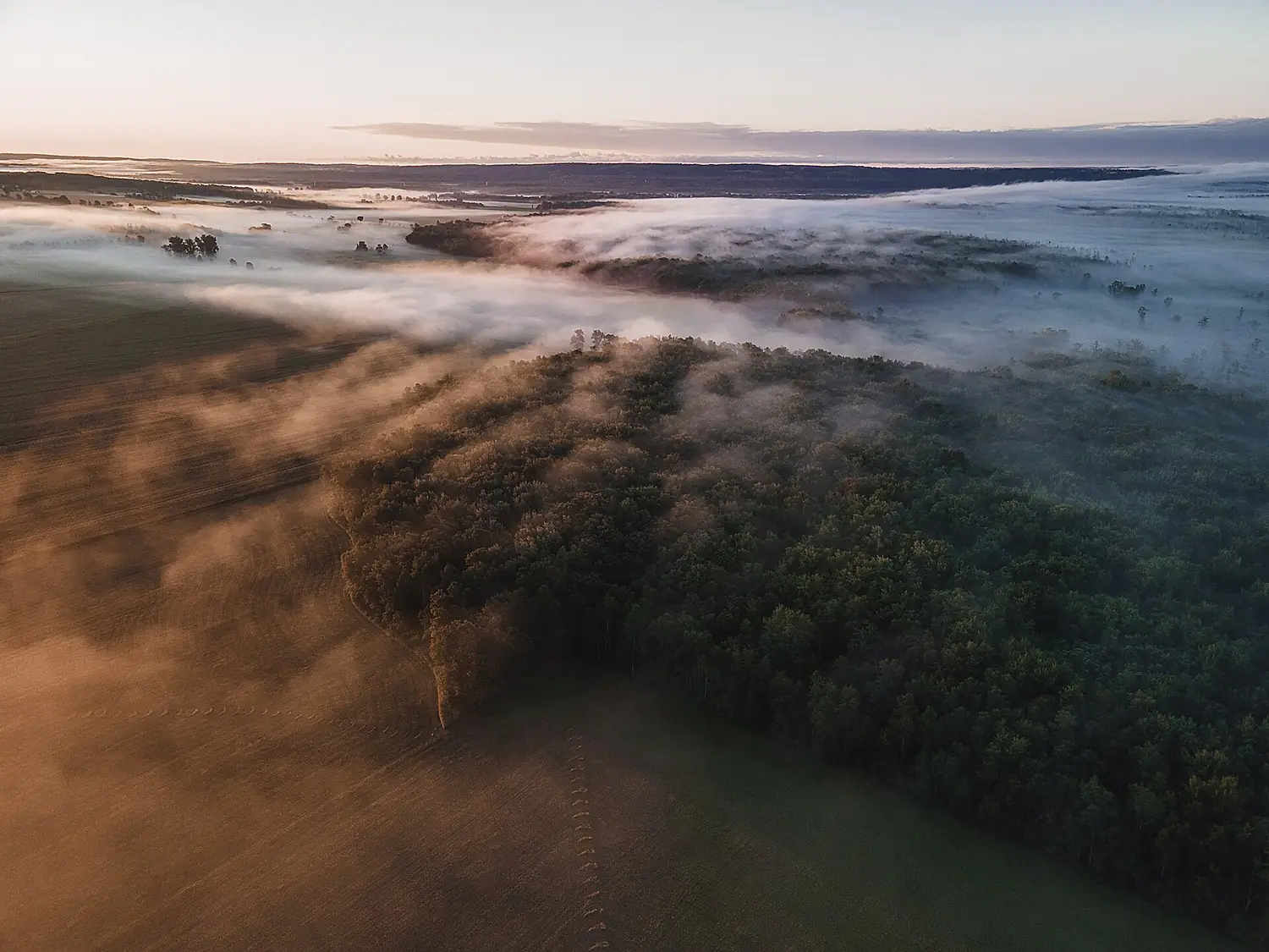 Sunrise Over The Minesing Wetlands 3