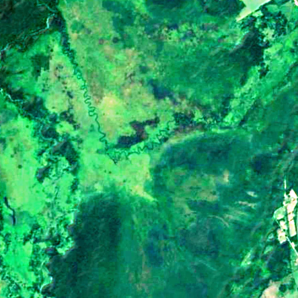 Marais Minesing vu d'en haut (Sentinel-2)