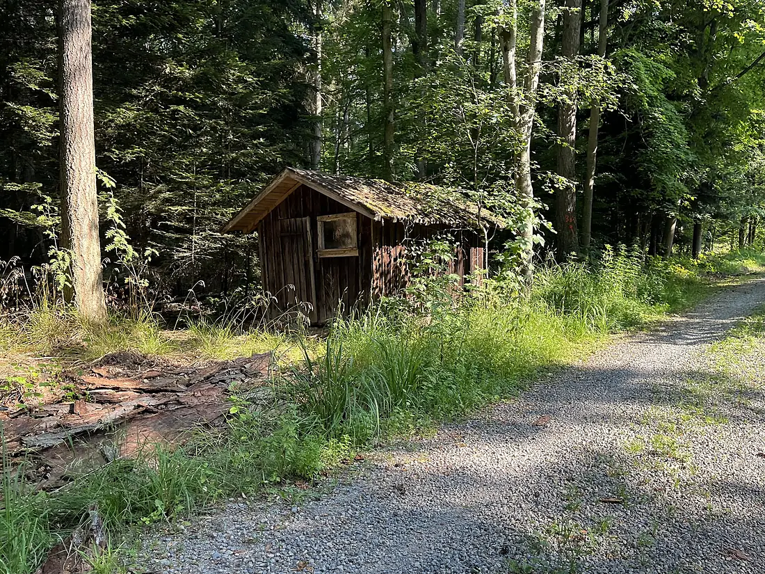 Hütte am Lindenlochebeneweg im Rammert