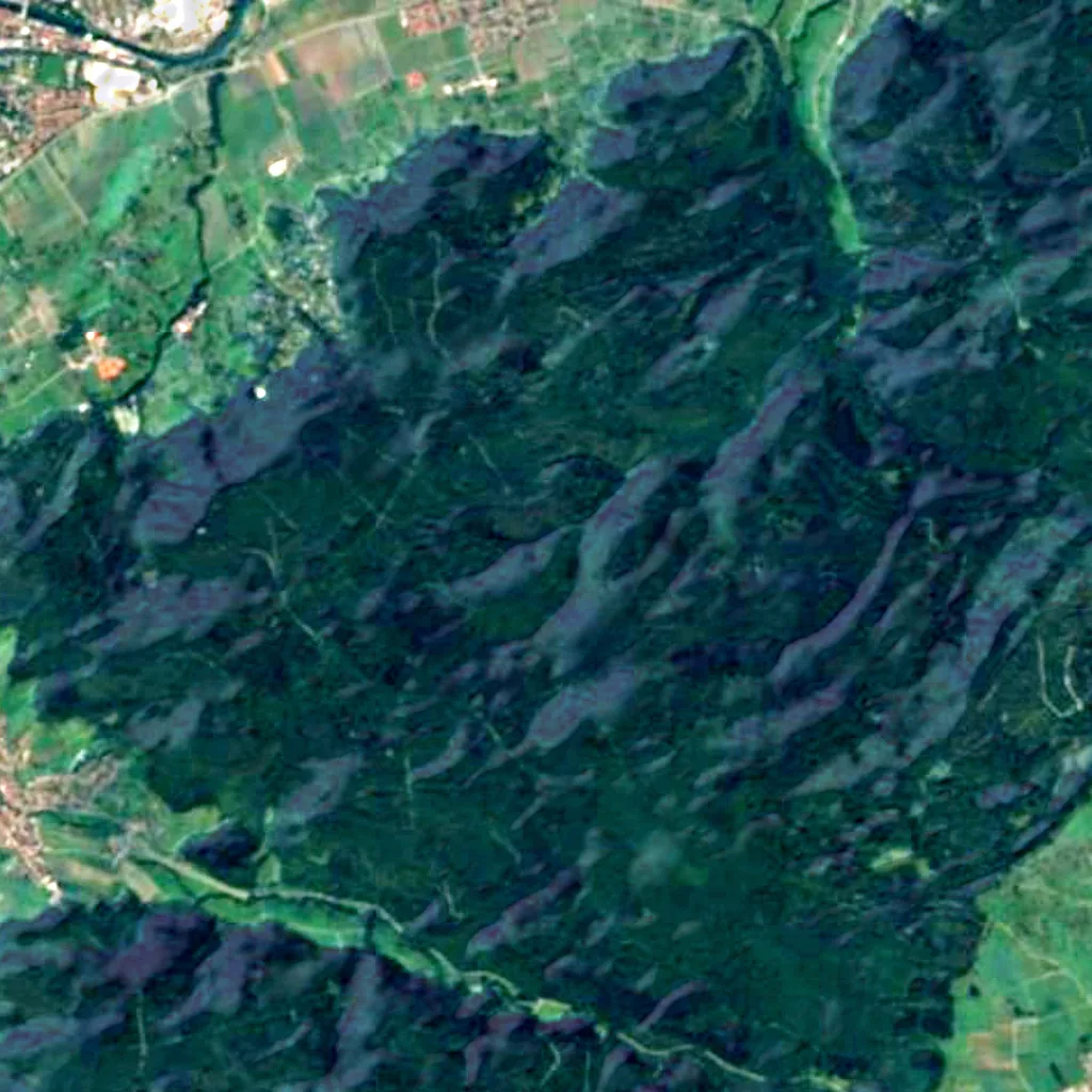 Mittlerer Rammert von oben gesehen (Sentinel-2)