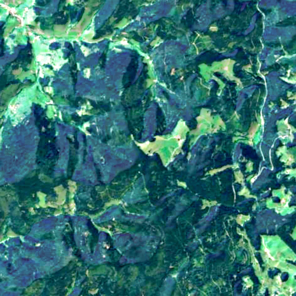 Mittlerer Schwarzwald seen from above (Sentinel-2)
