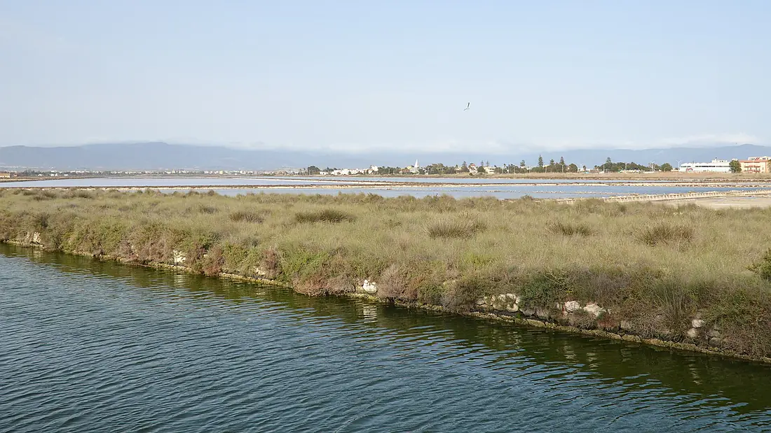 Molentargius - Saline Regional Park (Parco naturale regionale Molentargius - Saline) - Cagliari, Italy 2024-03-25 (01)