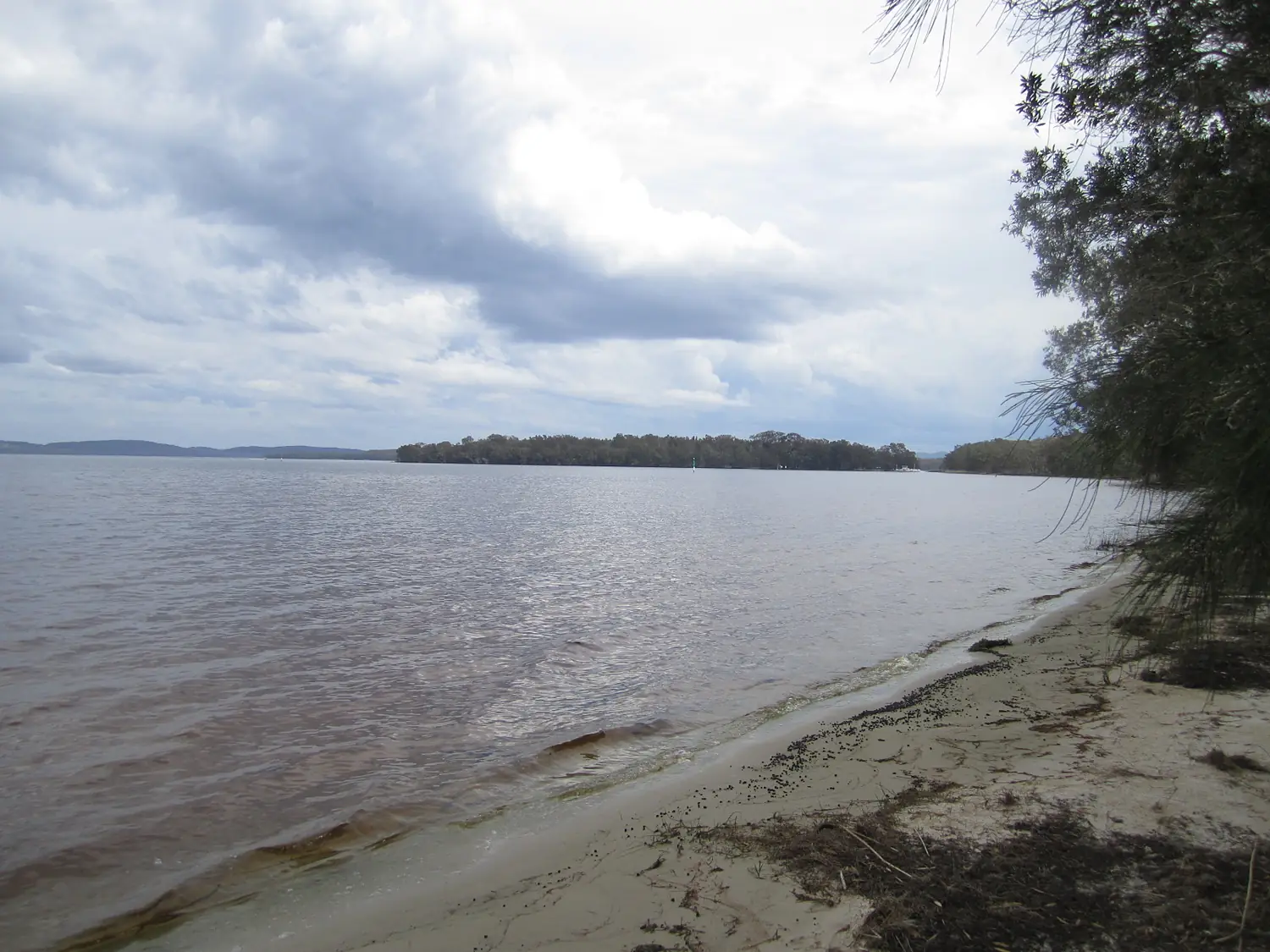 Myall lakes