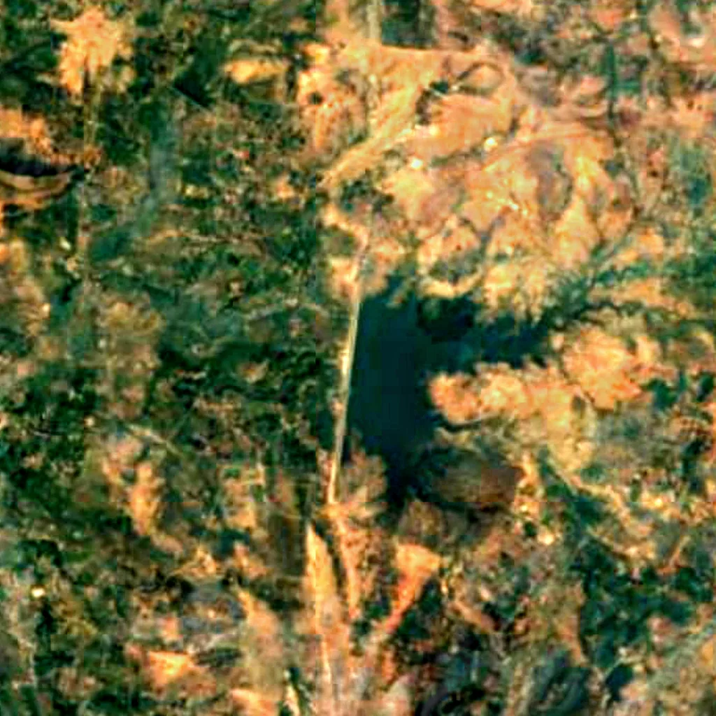 Nagi Bird Sanctuary visto desde arriba (Sentinel-2)