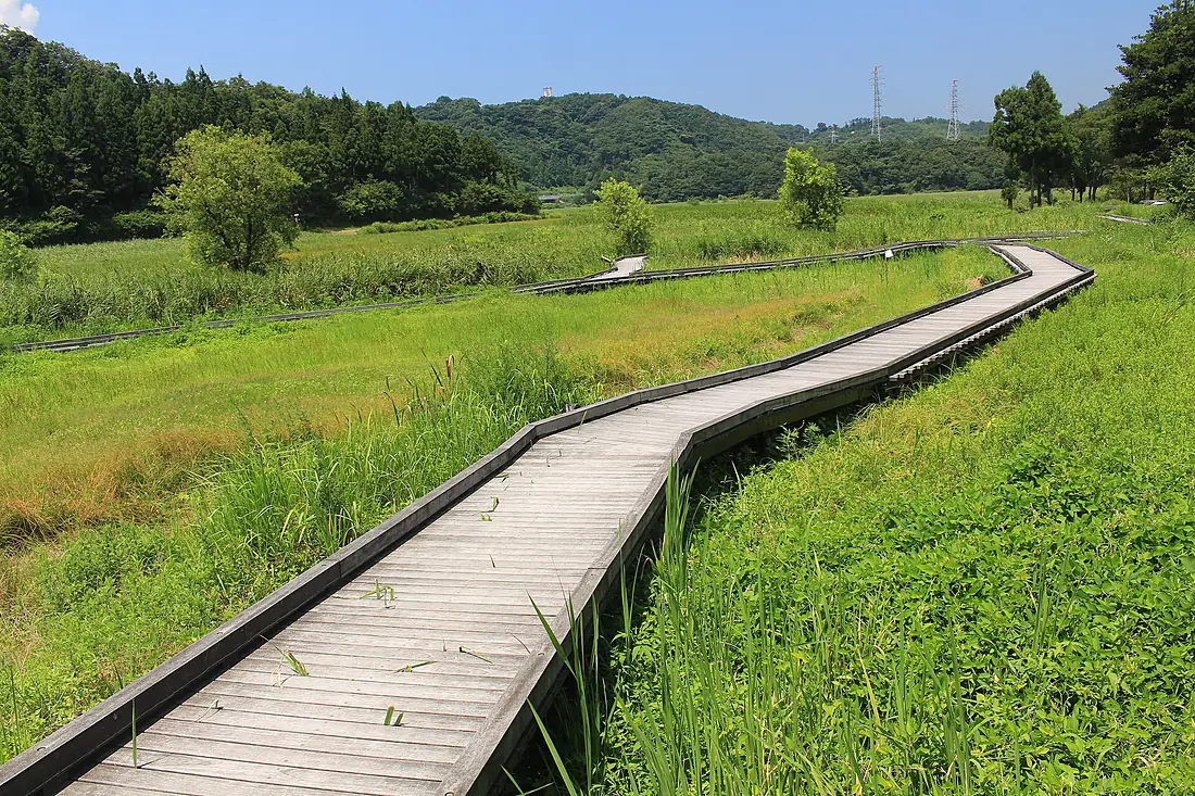 Nakaikemi Wetland (boardwalk)