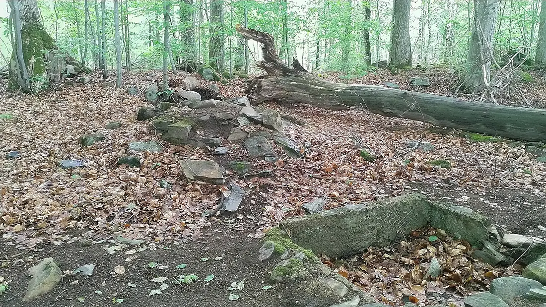 Hunting lodge ruins on Bjurkärr, Asnen National Park