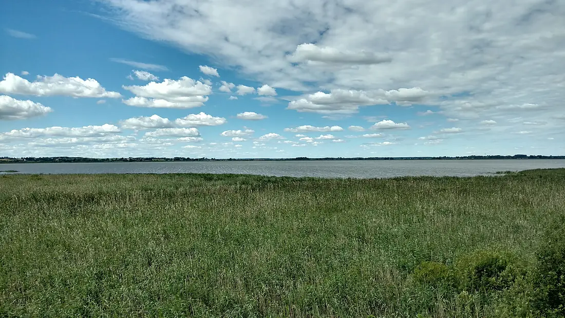 Jezioro Łuknajno z wieży widokowej