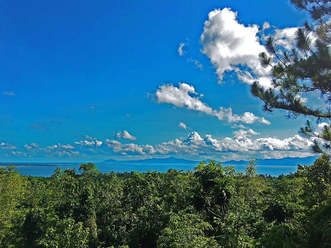Naujan Lake National Park View 1