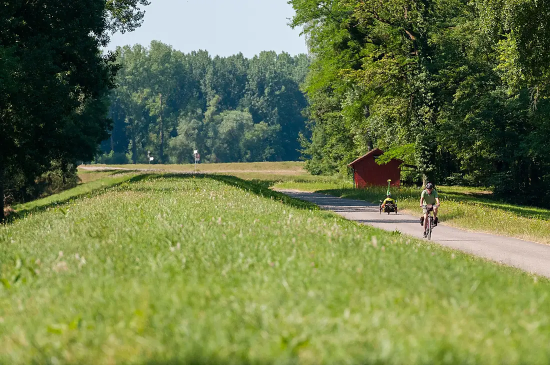 2015-07-06 D300-3056 Achim-Lammerts Radweg-Altrhein-Neupotz