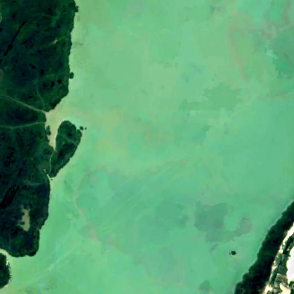 Neusiedl Lake seen from above (Sentinel-2)