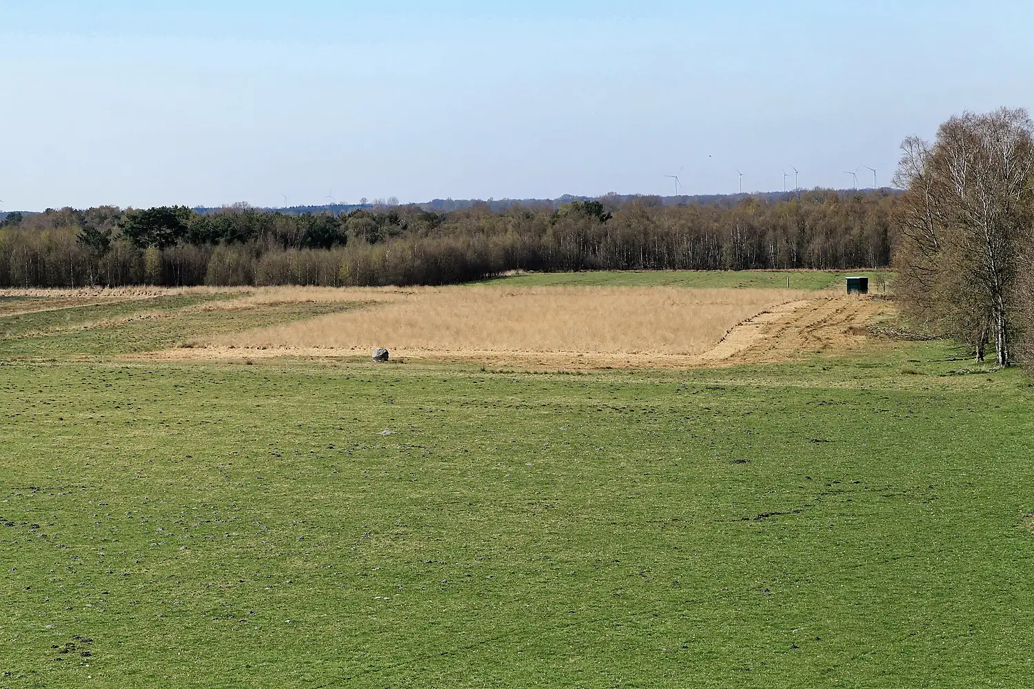 Vrees - Am Varel - Bockholter Dose (Aussichtsturm) 02 ies