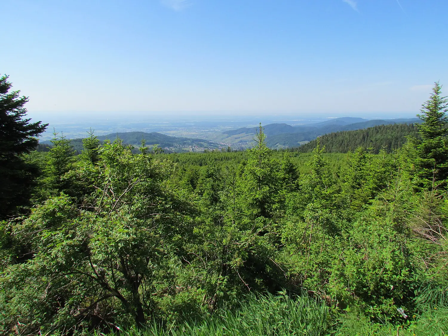 Blick von der Schwarzwaldhochstraße in die Rheinebene