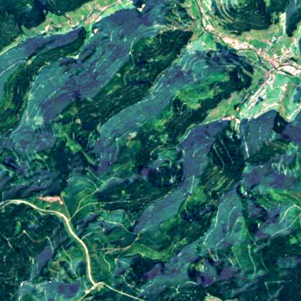 Nordschwarzwald seen from above (Sentinel-2)