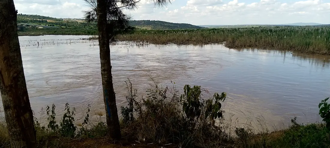 Nyabarongo river