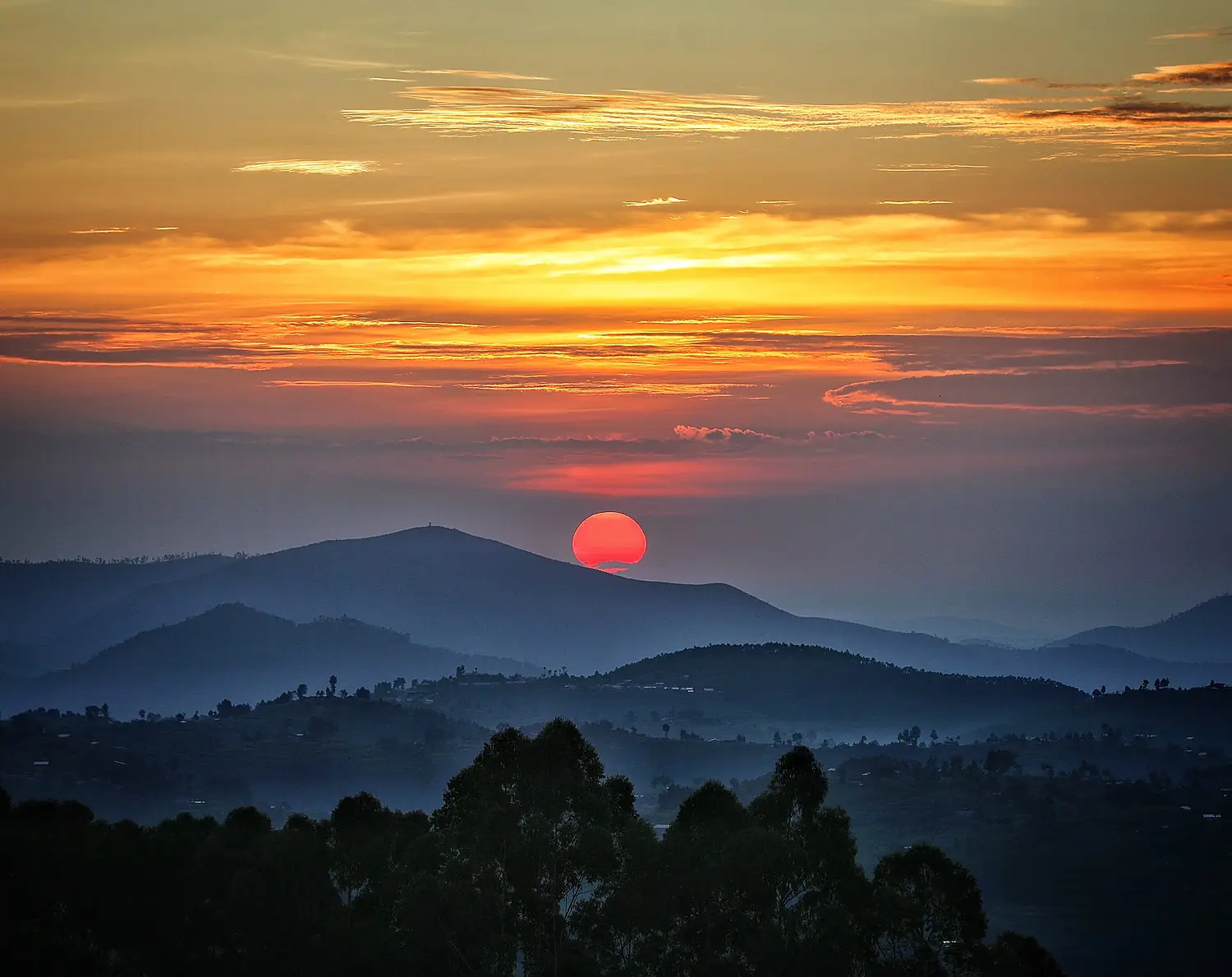 Sunrisenyungwe