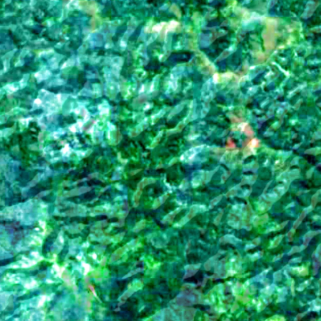 Nyungwe Forest seen from above (Sentinel-2)