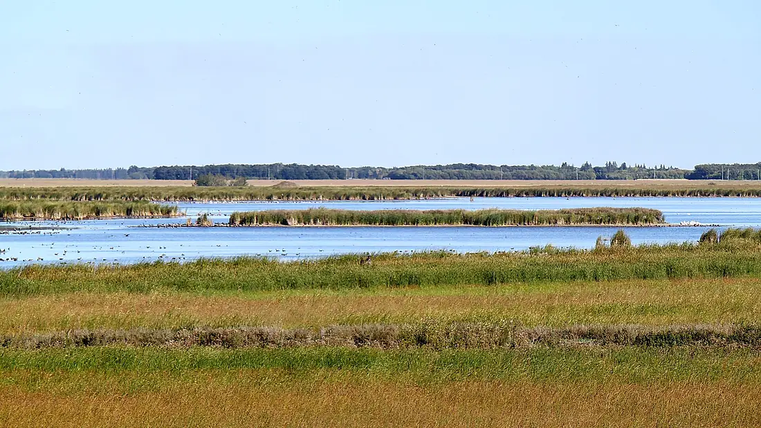 Oak Hammock Marsh, 1 Snow Goose Bay, Stonewall (493260) (24851315510)