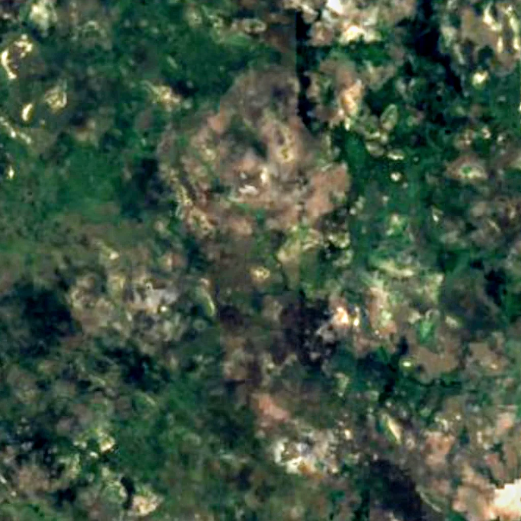 Okavango Delta seen from above (Sentinel-2)