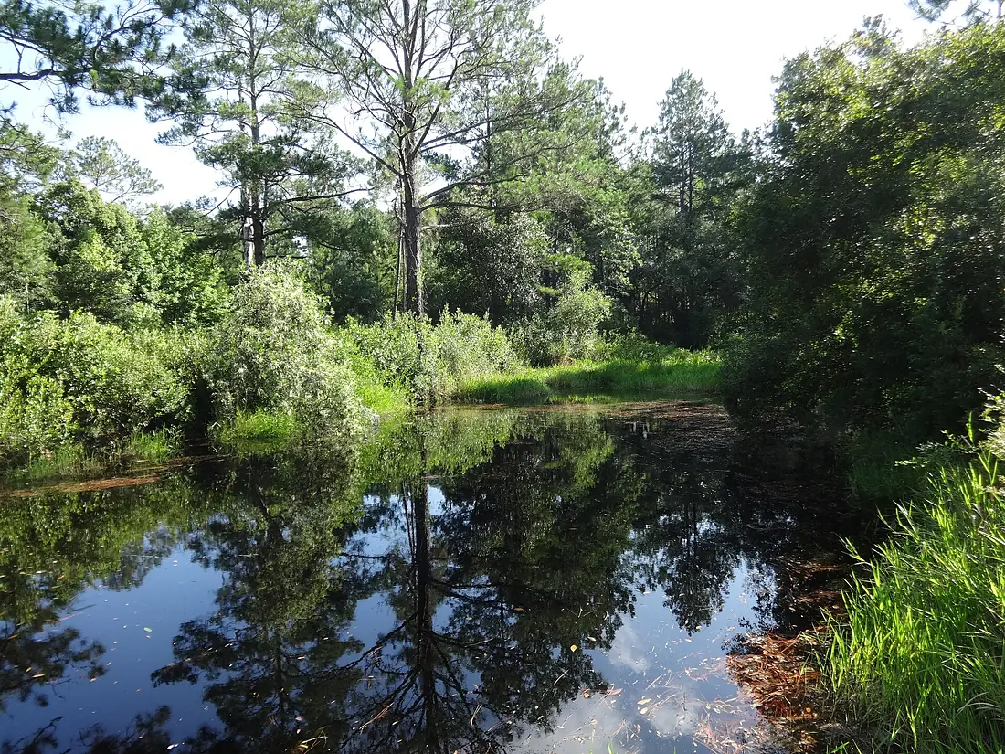 Kingfisher landing (looking NE)