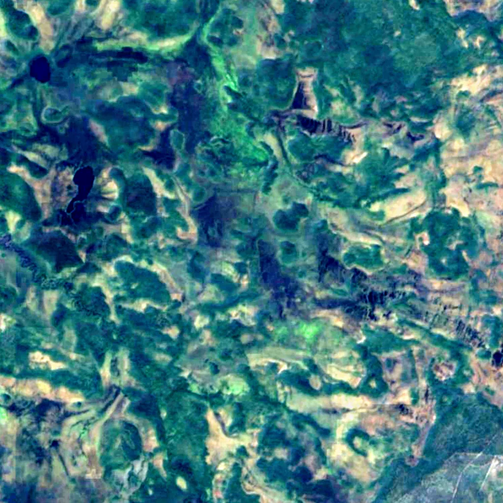 Olvassuo Strict Nature Reserve von oben gesehen (Sentinel-2)