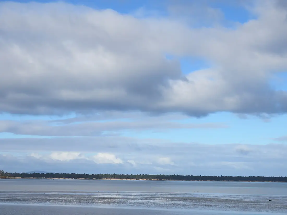 Tidal Flat of the Pitt Water region of South Eastern Tasmania