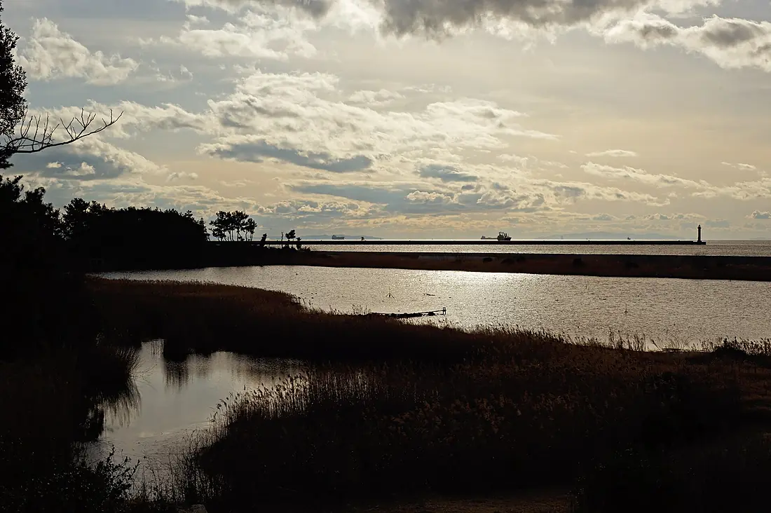 Osaka Bay landscape (backlight), January 2016