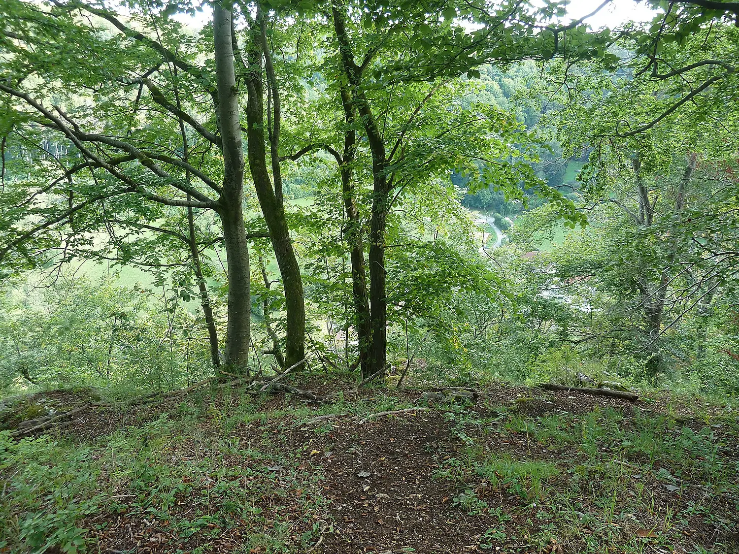 Hohler Stein (Aalen)