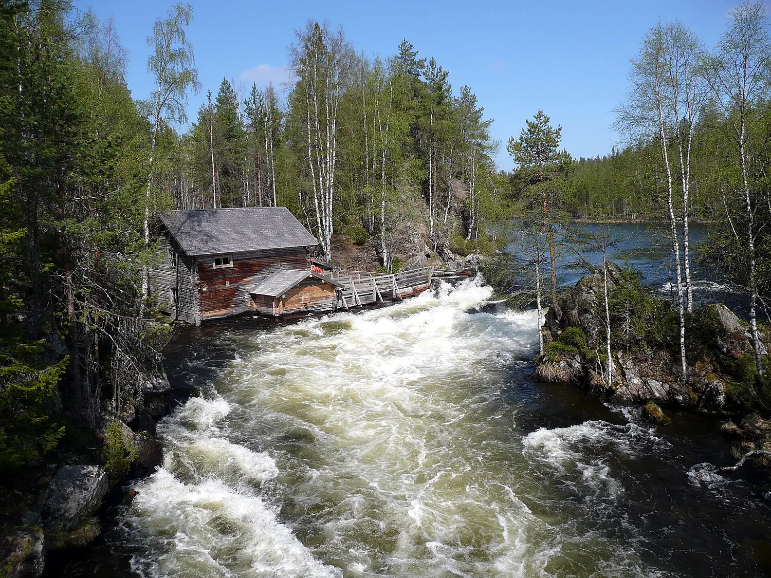 FI-Oulanka NP1