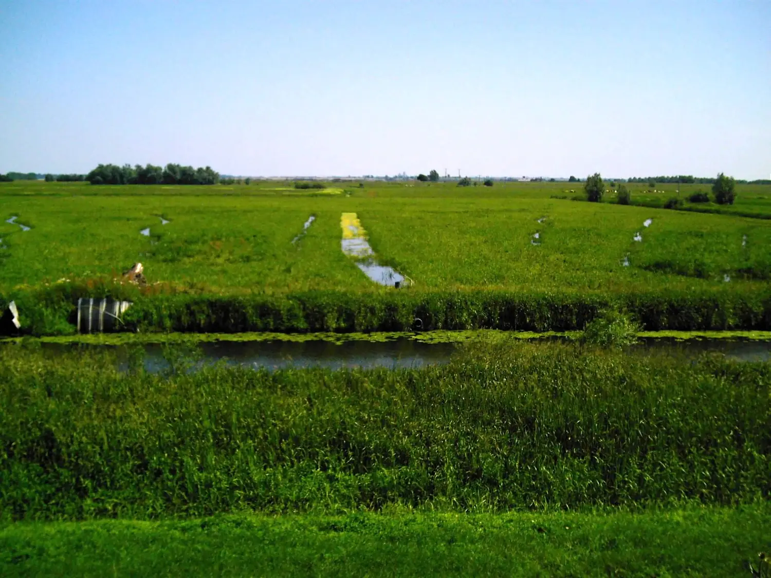Ouse Ditches