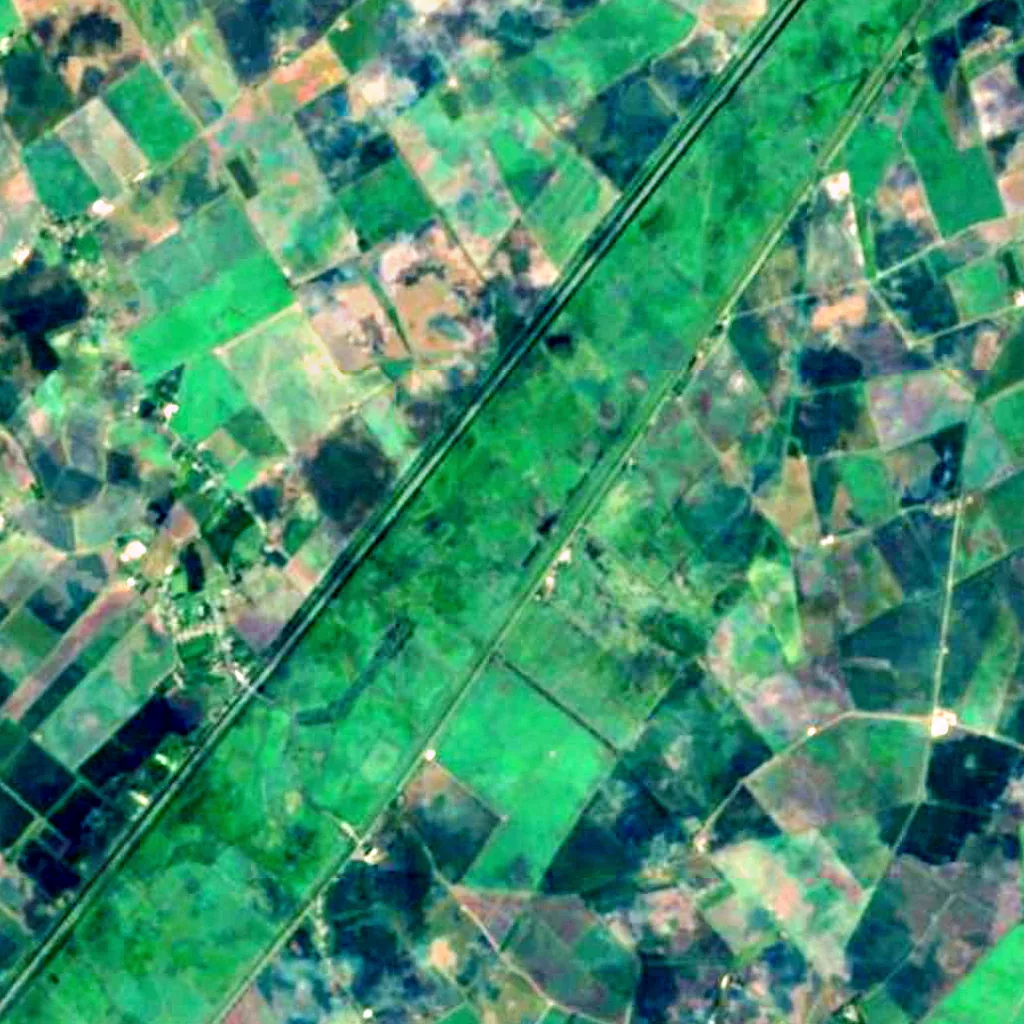Ouse Washes seen from above (Sentinel-2)