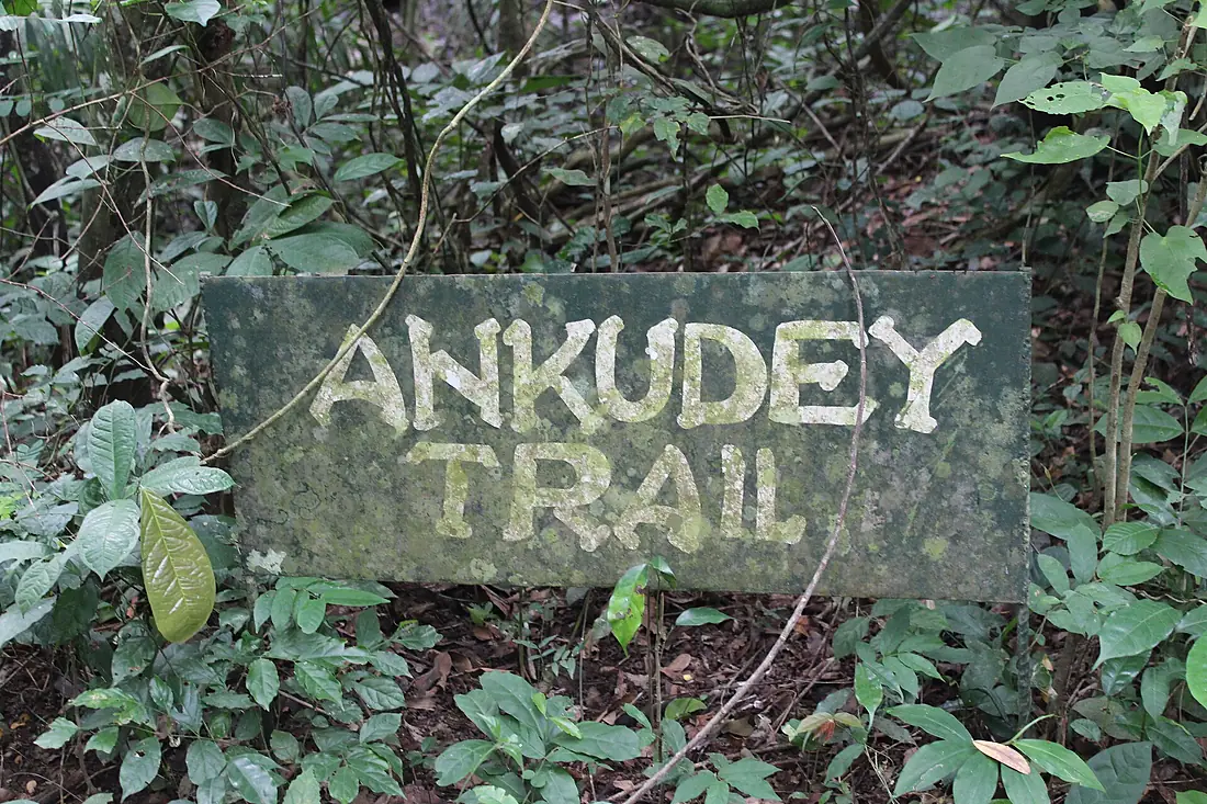 Ankudey Trail in Owabi Wildlife Sanctuary and Ramsar Site