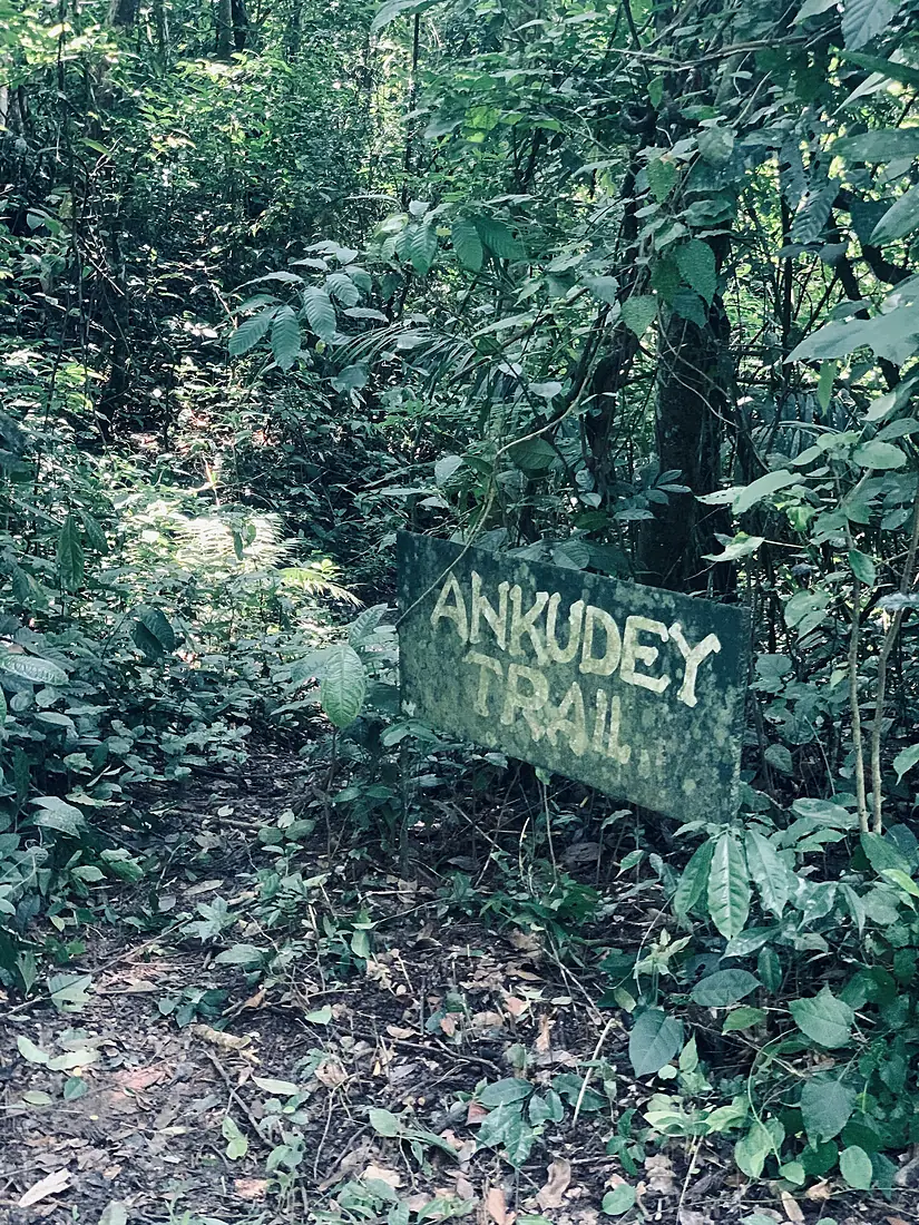 Ankudey trail