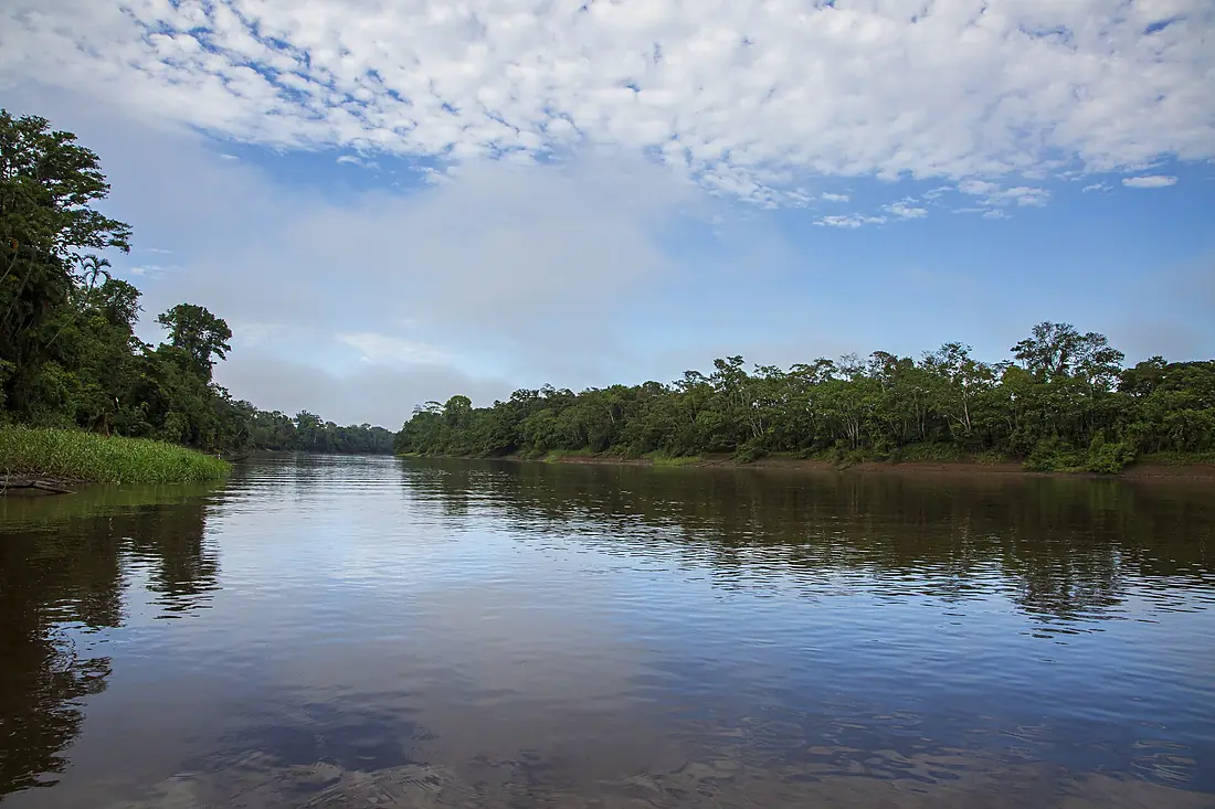 Paisaje en Pacaya Samiria