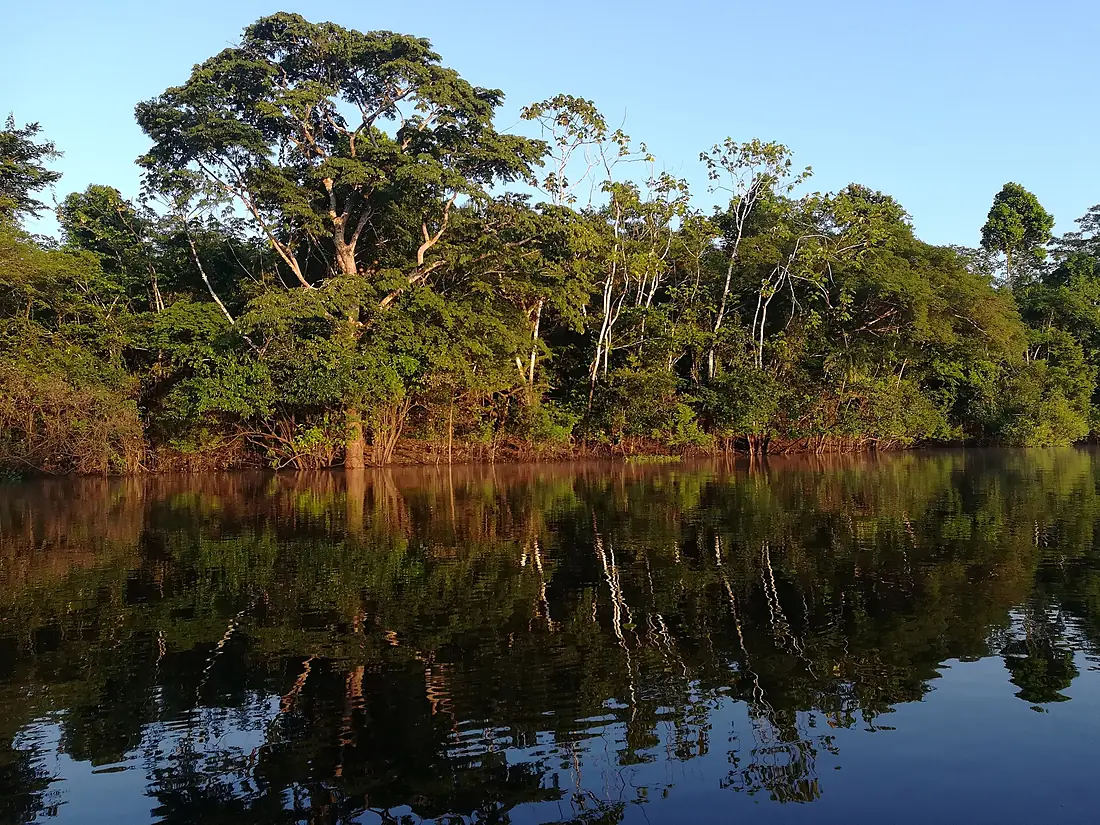 Reserva Pacaya Samiria-"La Selva de los Espejos"