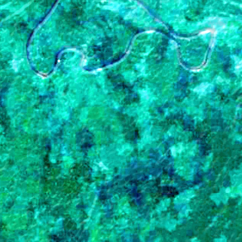 Pacaya-Samiria National Reserve seen from above (Sentinel-2)