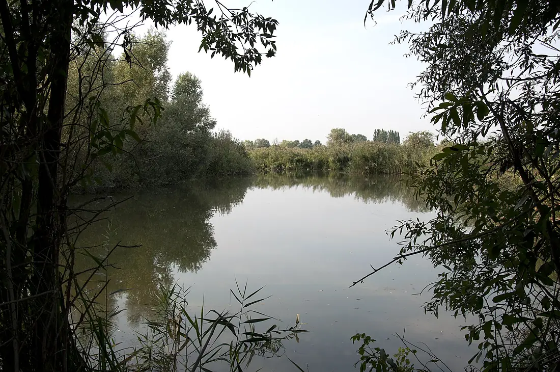 Palude del Busatello