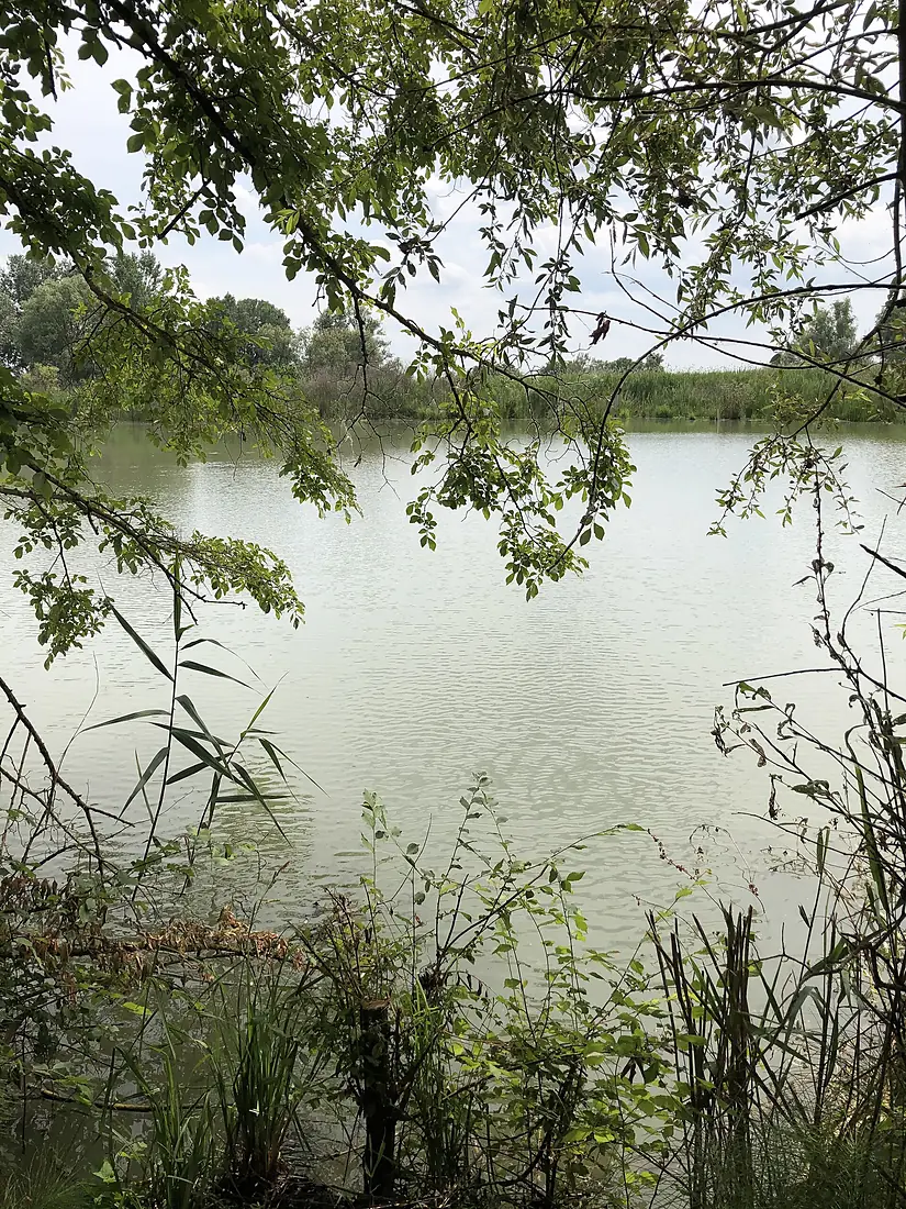 Palude di Ostiglia