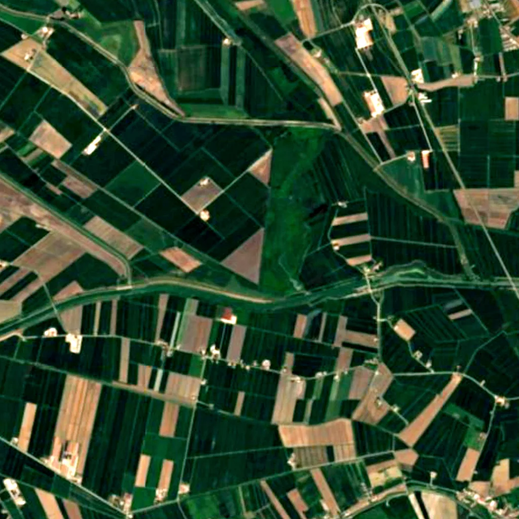 Palude di Ostiglia seen from above (Sentinel-2)