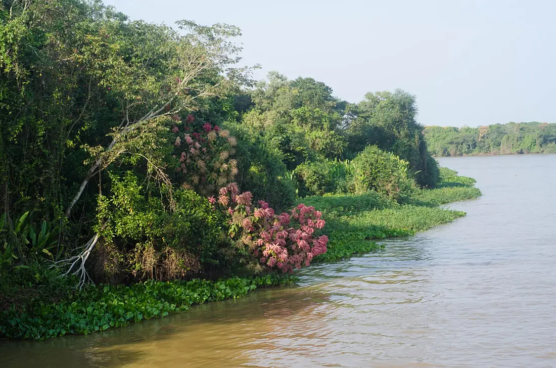 Beira do rio Paraguai