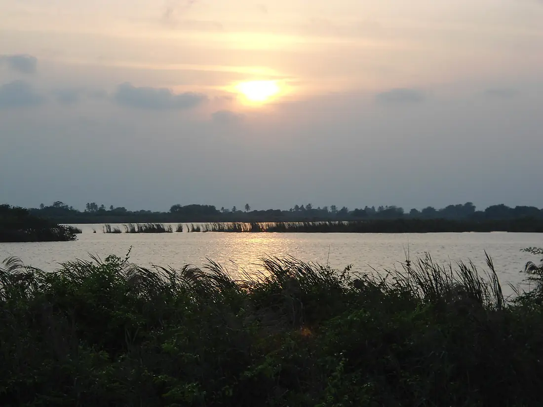 Pantanos de Centla 03