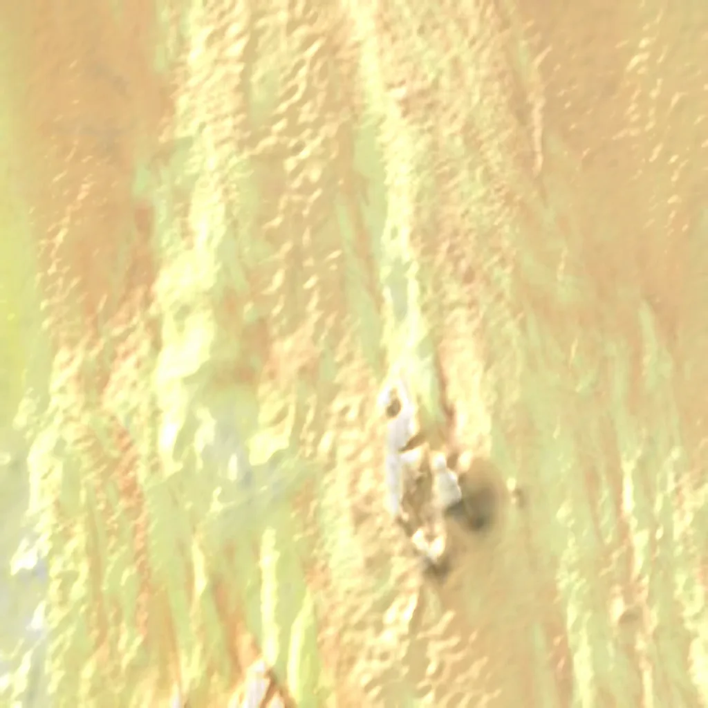 Paracas National Reservation seen from above (Sentinel-2)