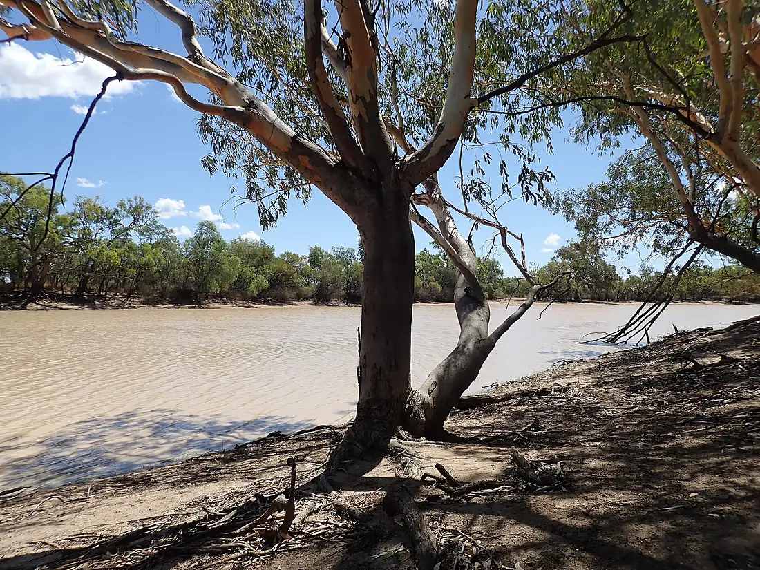 P1220012 From the eastern side of King Charlie Waterhole