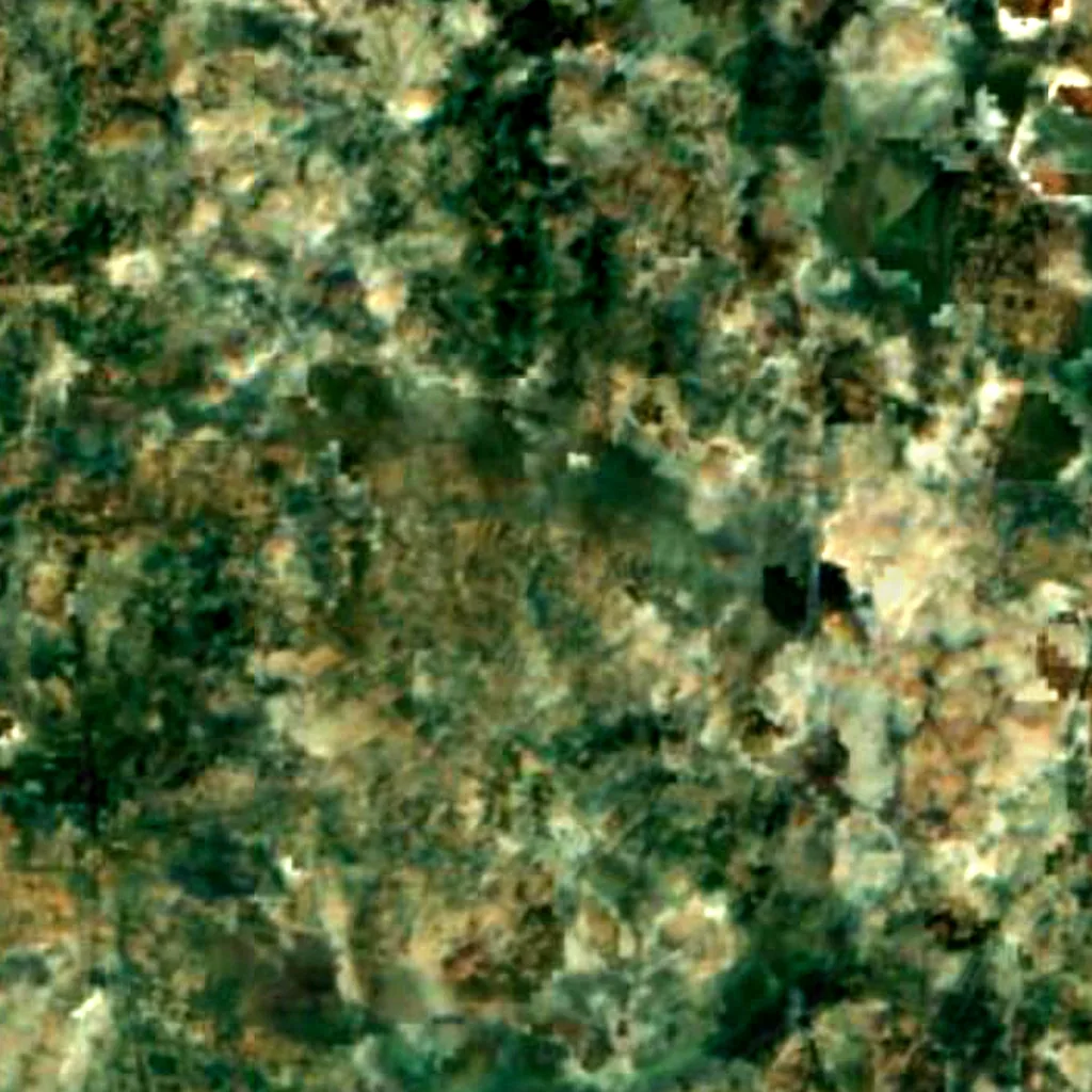 Parvati Arga Bird Sanctuary seen from above (Sentinel-2)