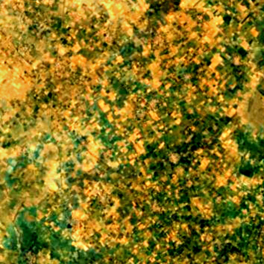 Patna Bird Sanctuary seen from above (Sentinel-2)