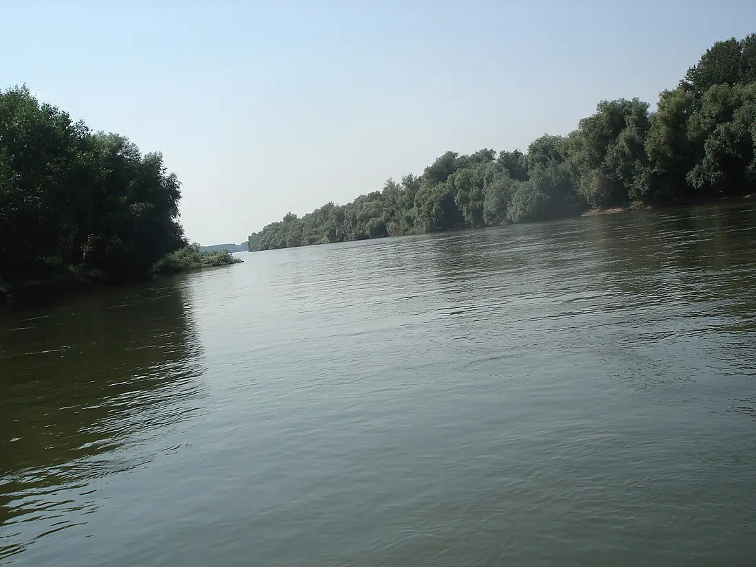 River banks