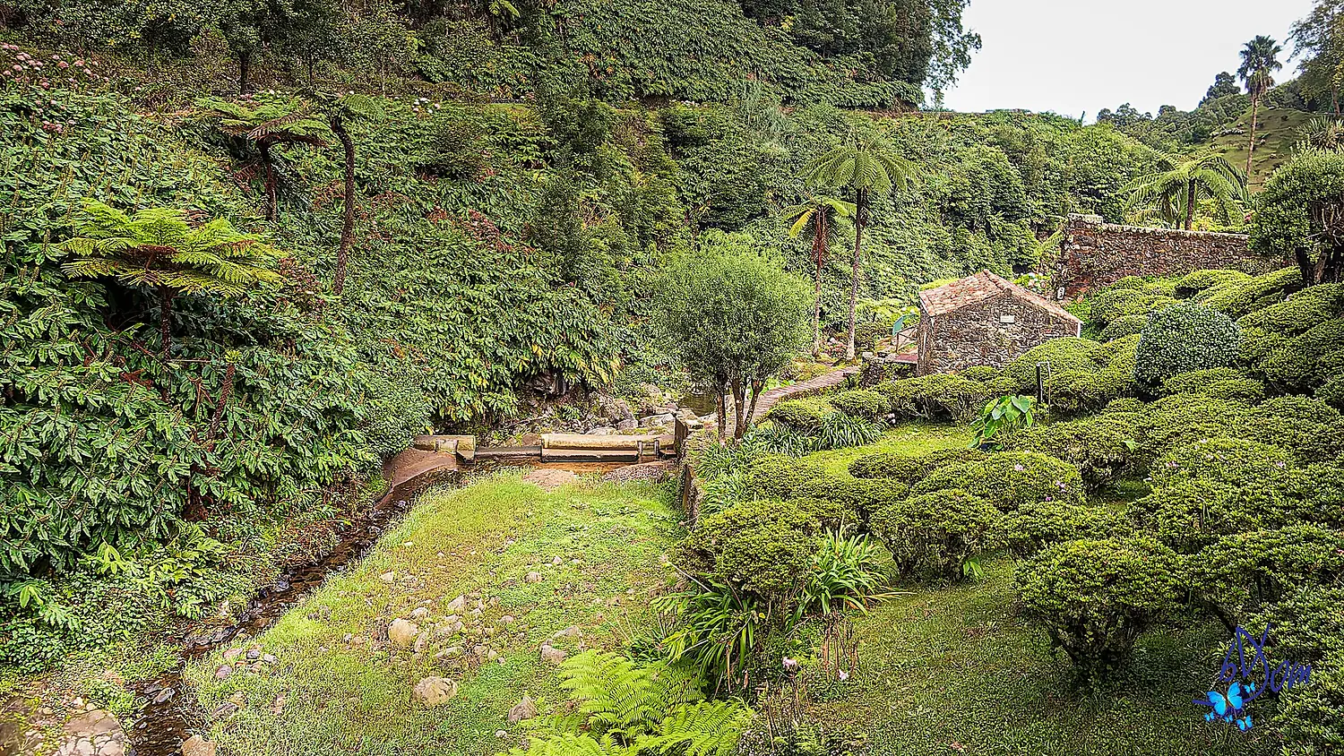 2023 - São Miguel - Açores (53664043756)